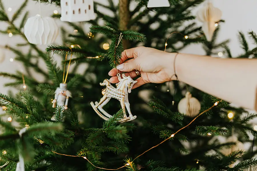 Organize for the holidays with Get Organized